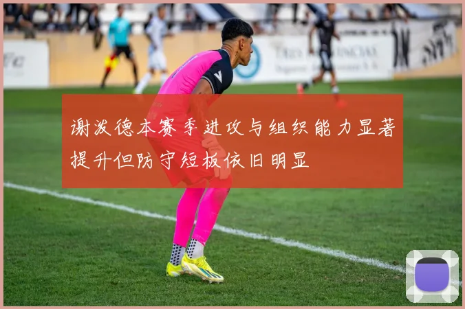 谢泼德本赛季进攻与组织能力显著提升但防守短板依旧明显