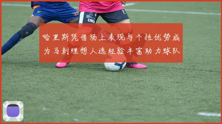 哈里斯凭借场上表现与个性优势成为马刺理想人选经验丰富助力球队发展