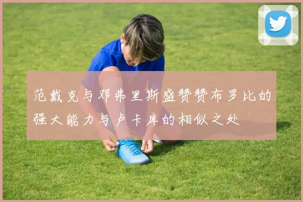 范戴克与邓弗里斯盛赞赞布罗比的强大能力与卢卡库的相似之处